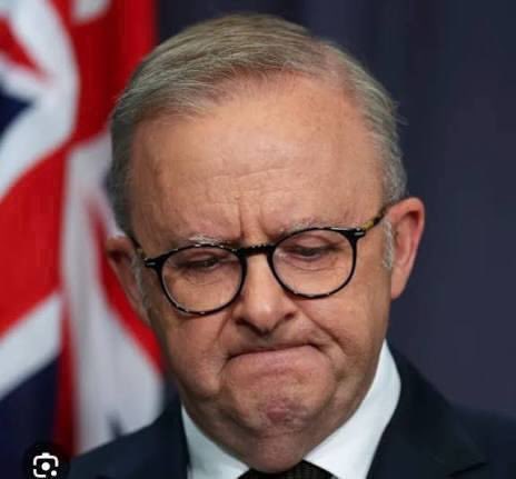 AussiePulse ❤️ News tweet media