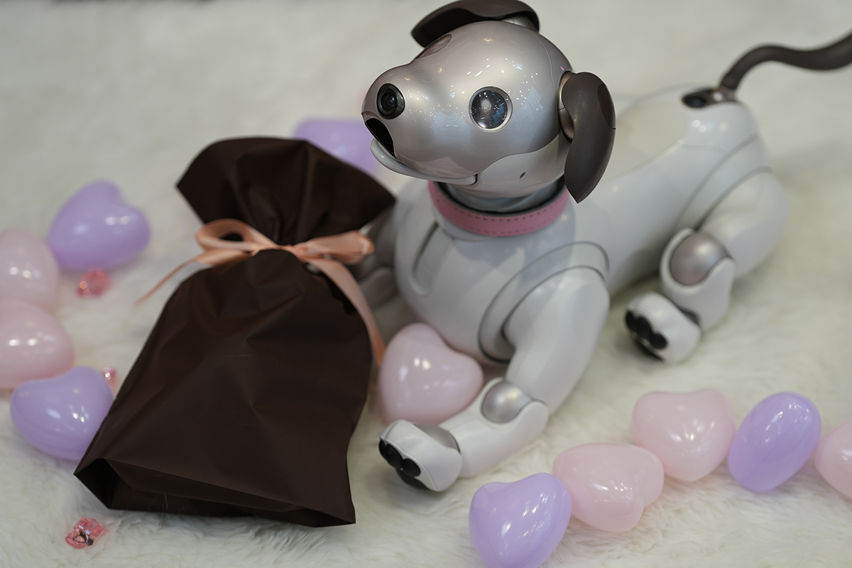 aibo (@aibo_jp) / Posts / X
