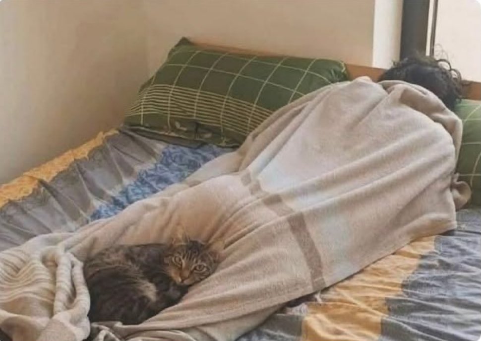 gatinarios's tweet image. “tem forças maiores me impedindo”

as forças maiores: