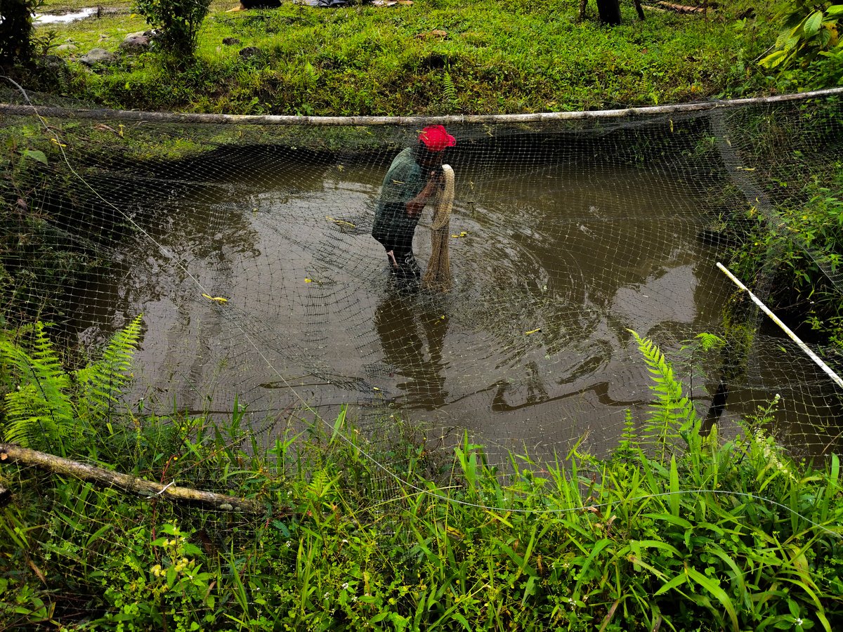 Conpazcol tweet media