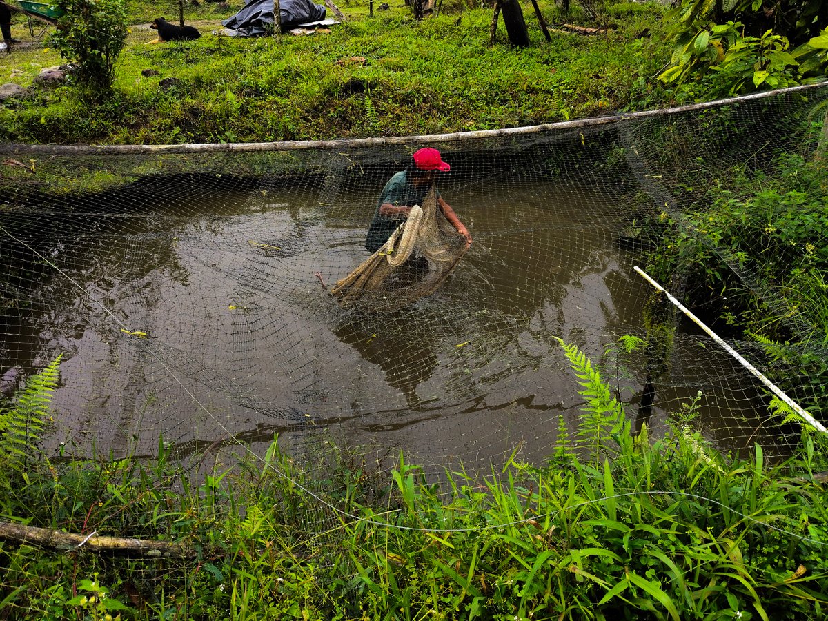 Conpazcol tweet media