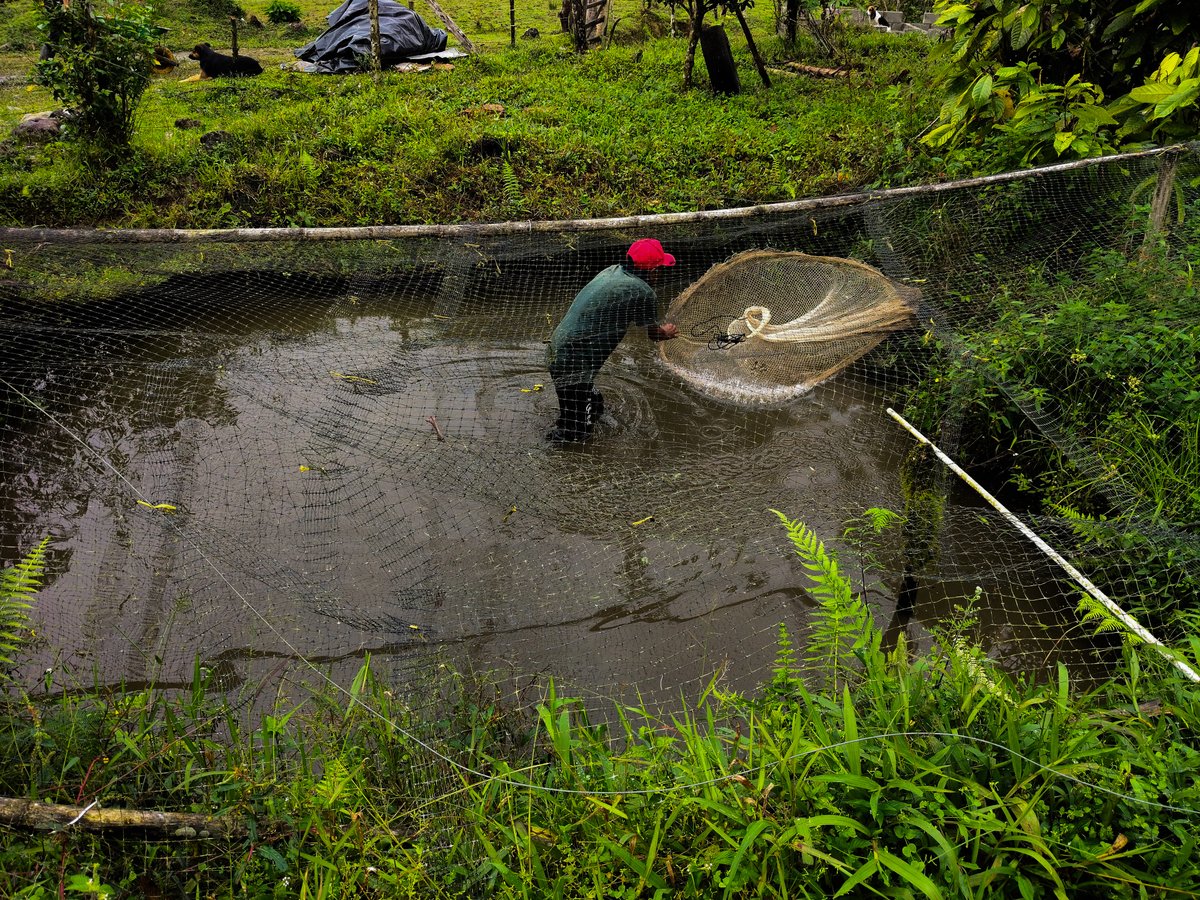 Conpazcol tweet media