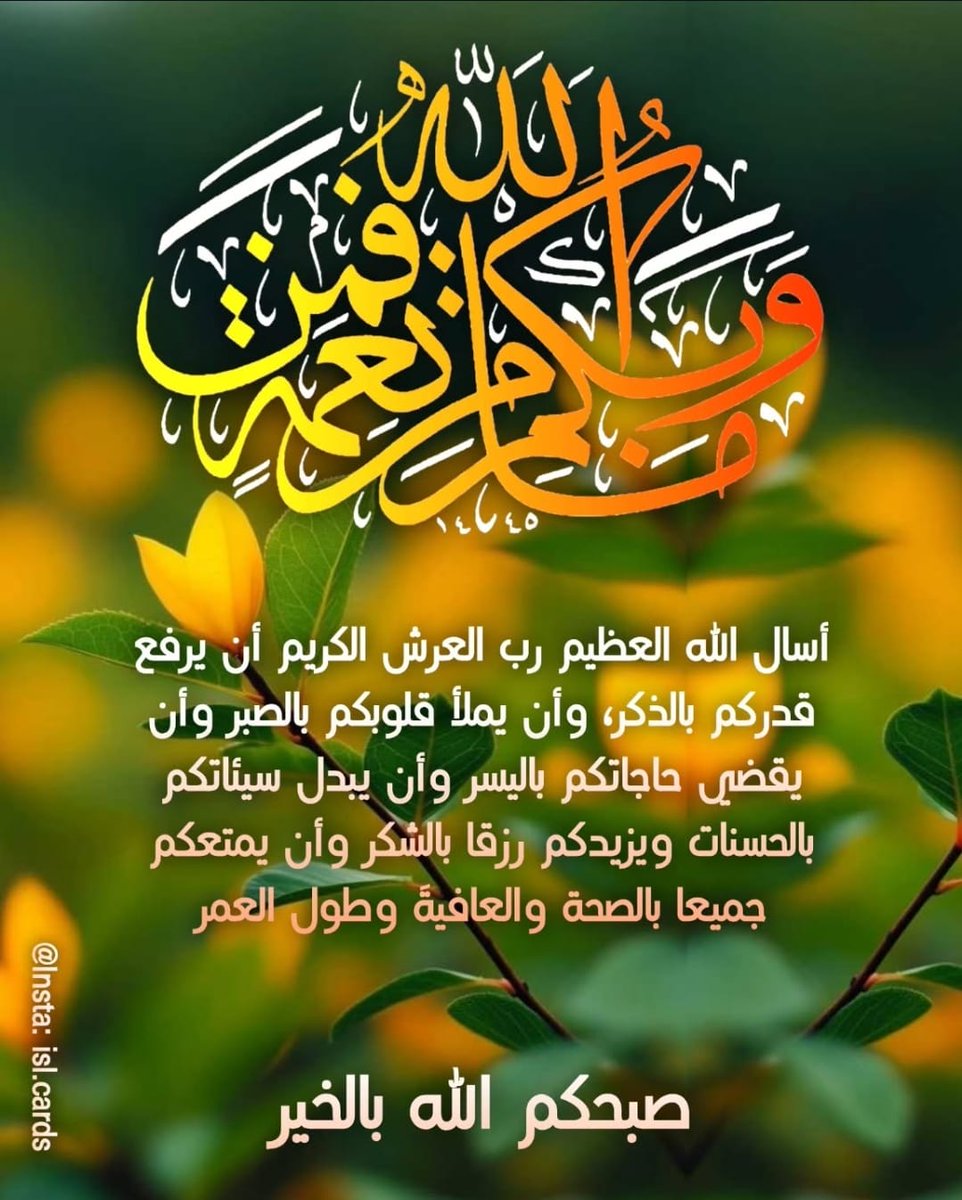 itrlmahaba's tweet photo. @SAEEDALIALGHAM9 https://t.co/od9WlzsJGV