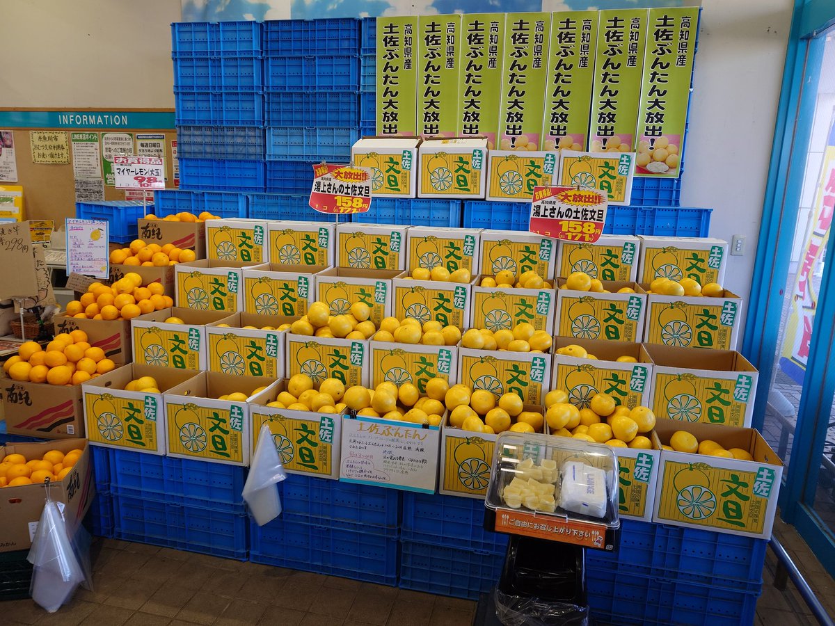 hapy_808's tweet photo. 今年もきました‼️
高知県より湯上さんの「土佐文旦」
と〜てもジューシーな文旦
今年も美味しく出来ました。
是非ご賞味ください😊
＃ハピーのやおや
＃やおやのおじさん
＃ハピー
＃糸魚川 https://t.co/o3JaExr9ts