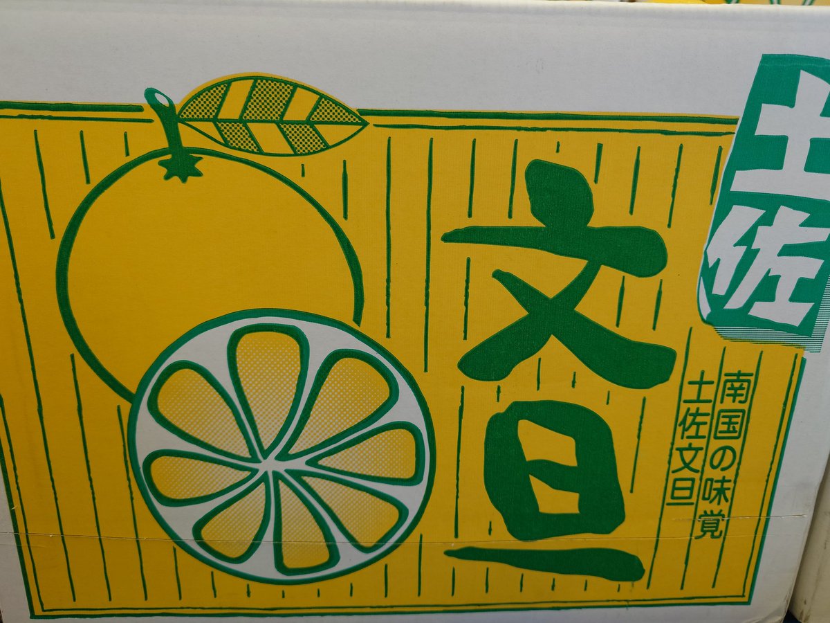 hapy_808's tweet photo. 今年もきました‼️
高知県より湯上さんの「土佐文旦」
と〜てもジューシーな文旦
今年も美味しく出来ました。
是非ご賞味ください😊
＃ハピーのやおや
＃やおやのおじさん
＃ハピー
＃糸魚川 https://t.co/o3JaExr9ts