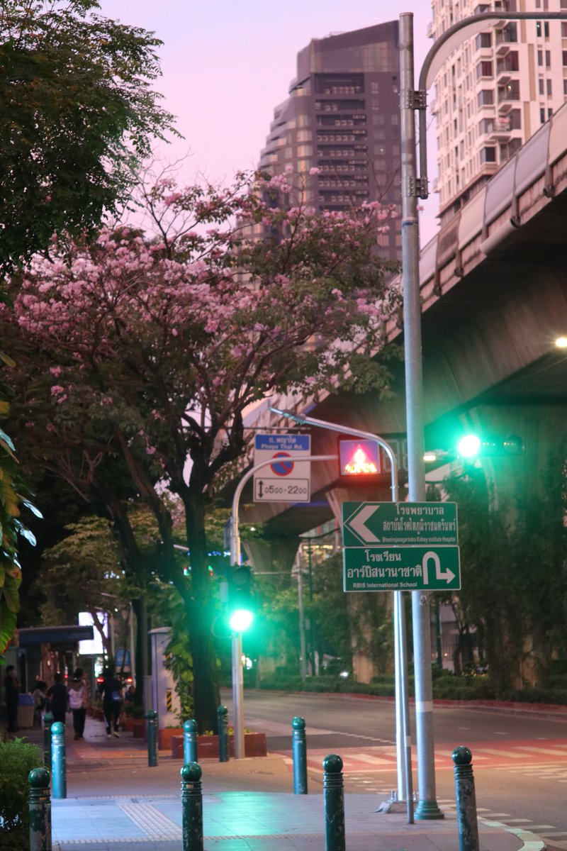 wangxiao1085's tweet image. พญาไทก็ดีมากกก