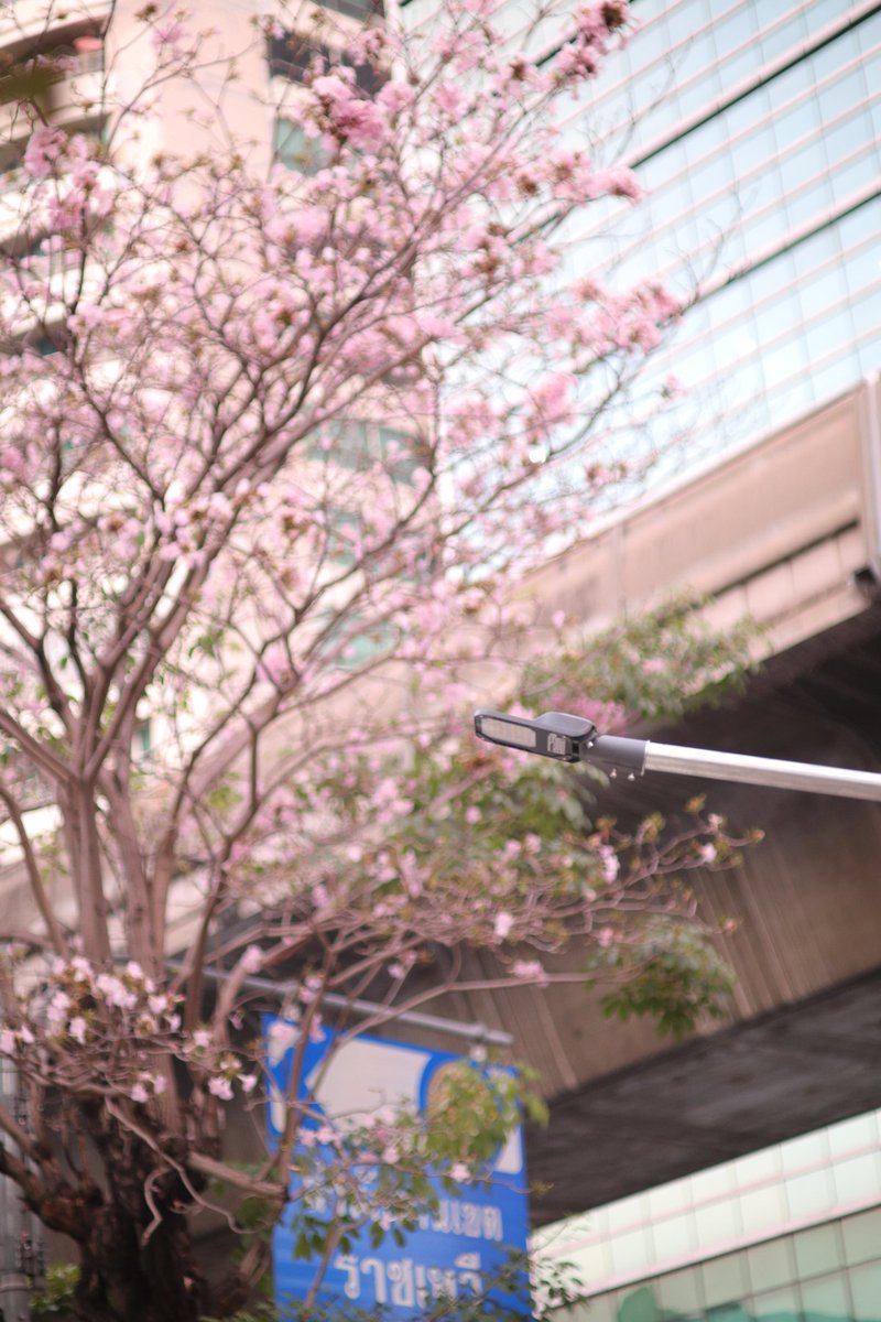 wangxiao1085's tweet image. พญาไทก็ดีมากกก