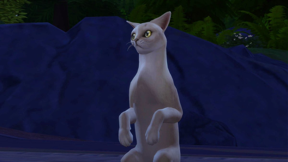 レイヴンとギベオンで一緒に出掛けてたらね、少々気味が悪い可愛い猫たん見かけたんですよ。#Sims4