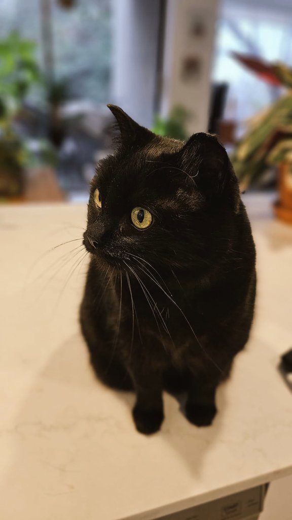 Pandora had a jar tweet media