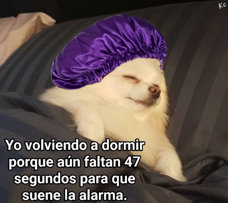 Pkittass (@pkittass) on Twitter photo 