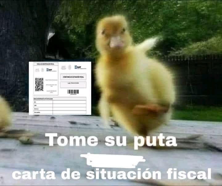 Maestre Mapaxito (@mapaxitouwu) on Twitter photo 