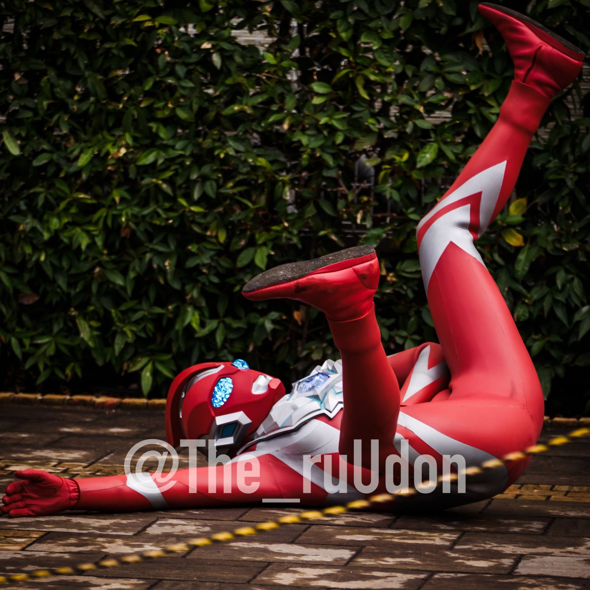 腹減った〜…
#ウルトラマンオメガ
#花博記念公園ハウジングガーデン