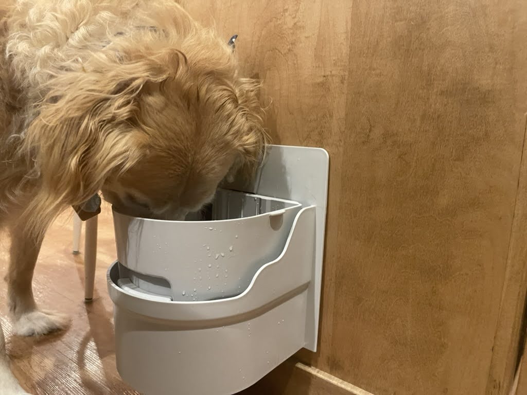 Designed so your pet constantly gets fresh water without the hassle of refilling it multiple times a day. perpetualwell.com/shop/

#waterbowl #selffillingbowl #dogmeme