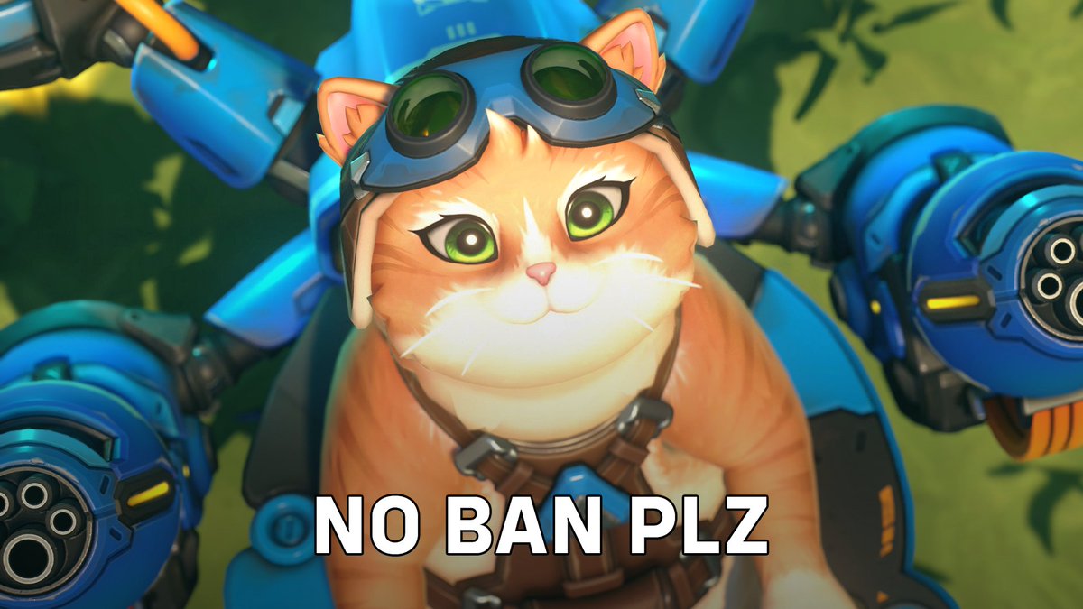 NO BAN JETPACK CAT PLZ 🐱
NO BAN JETPACK CAT PLZ 🐱
NO BAN JETPACK CAT PLZ 🐱
NO BAN JETPACK CAT PLZ 🐱