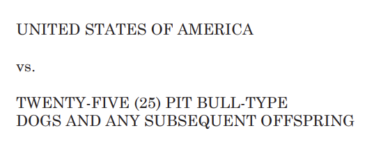 my money is on the pups.