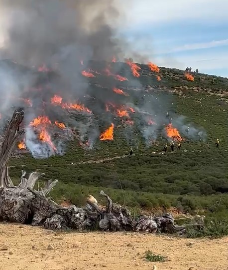 Cleveland NF tweet media