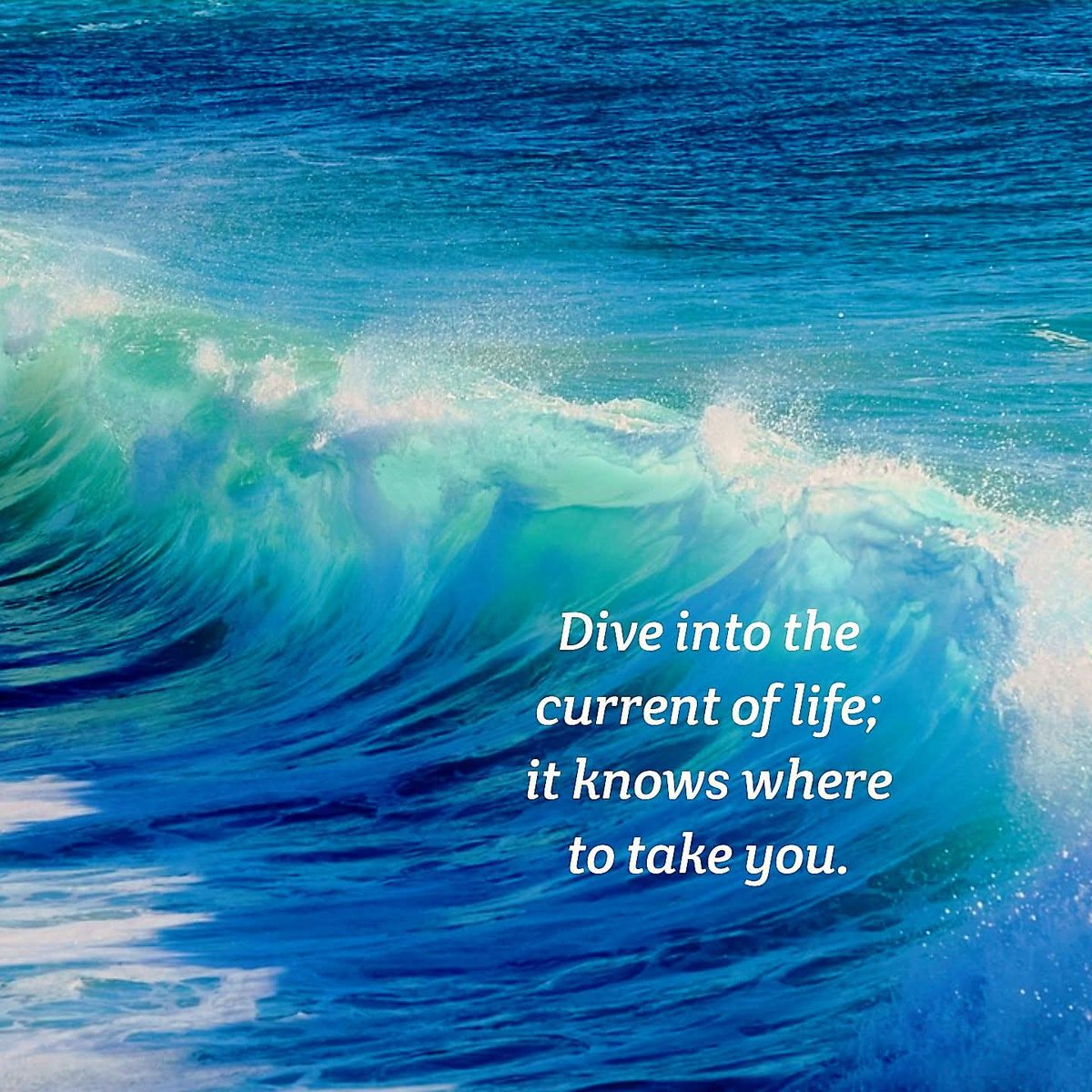 AWillbrandt1047's tweet photo. The most challenging part isn't in the wave, it's mastering the art of knowing when to ride the tide. 🌊 #flowwiththeflow #quotes https://t.co/aFa160K78S