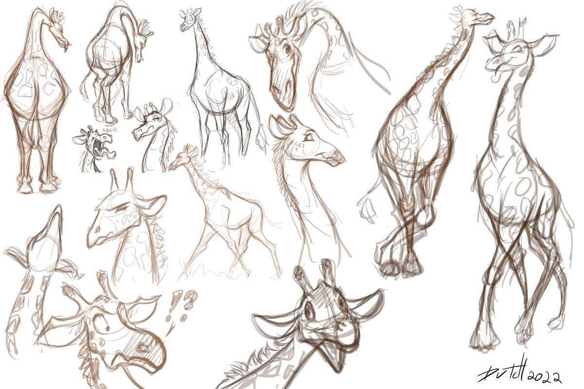 David Dutch K. tweet media