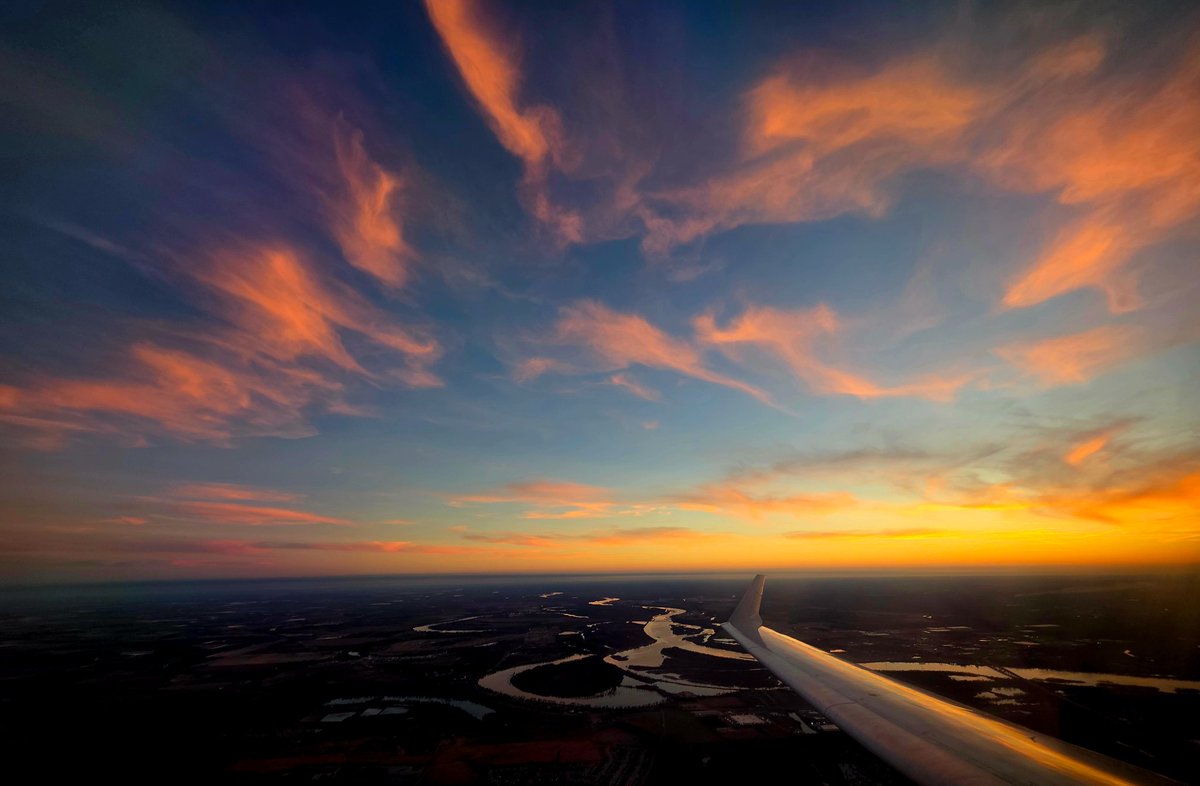 David Miller tweet media