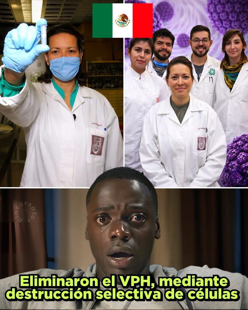 🚨🇲🇽 BUENAS NOTICIAS: CIENTÍFICA MEXICANA LOGRA ELIMINAR EL VPH 👏

ORGULLO NACIONAL!!! 

Su nombre es Eva Ramón Gallegos, investigadora del Instituto Politécnico Nacional, consiguió eliminar el Virus del Papiloma Humano mediante una innovadora terapia fotodinámica

¿Cómo