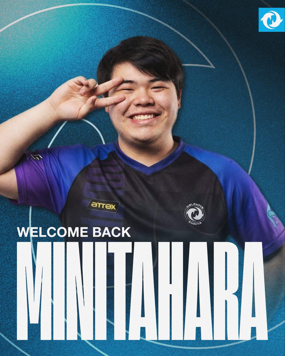 Dolphins gaming tweet media