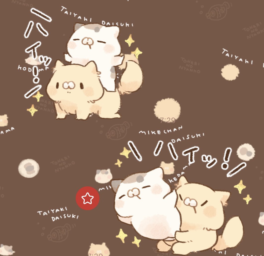 ぽち🐱となりのにゃんこ on X: 
