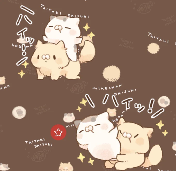 ぽち🐱となりのにゃんこ on X: 