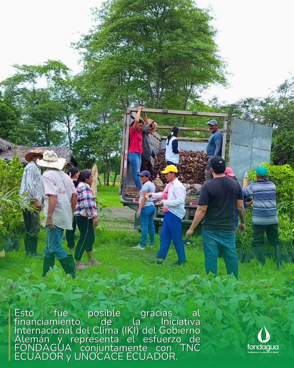 En Colimes, agricultores recibieron plantas de cacao y especies complementarias para fortalecer sistemas agroforestales y promover una agricultura más resiliente. 

La jornada, liderada por <a href="/FondaguaEc/">Fondagua</a> junto a <a href="/TNCLatinAmerica/">TNC Latinoamérica</a> y <a href="/unocace/">UNOCACE</a>, impulsa prácticas sostenibles.