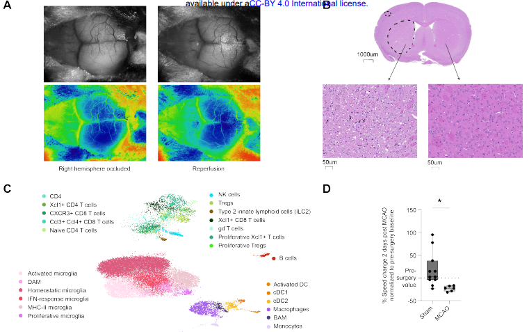 Waggoner Lab tweet media