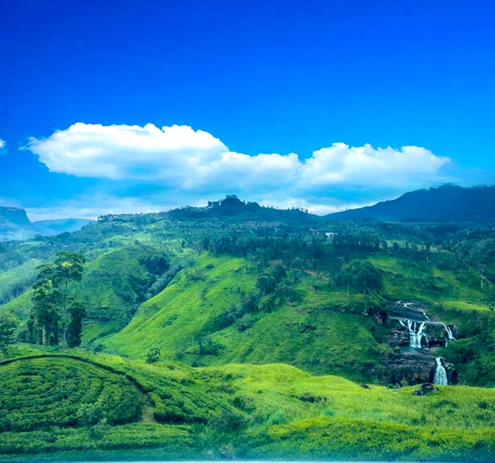HappyTravelPort's tweet image. 🇱🇰✨ Sri Lanka Makes Asia’s Top Hill Station List!

Big news! 🏔️
Digital travel platform Agoda has ranked Nuwara Eliya as the 2nd must-visit hill station in Asia 🌏👏

#AmazingSriLanka #NuwaraEliya #LittleEngland #VisitSriLanka #HillCountry #AsiaTravel