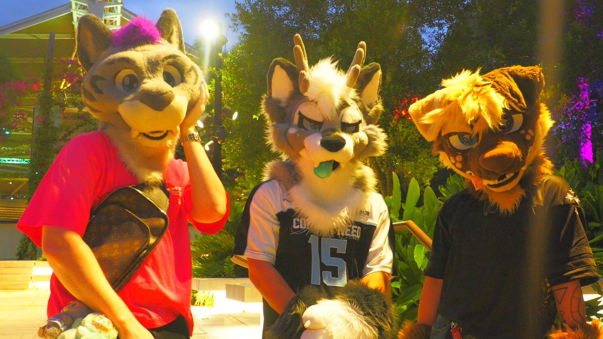 MickyU! 🎶|| 🔜FURDU26 tweet media