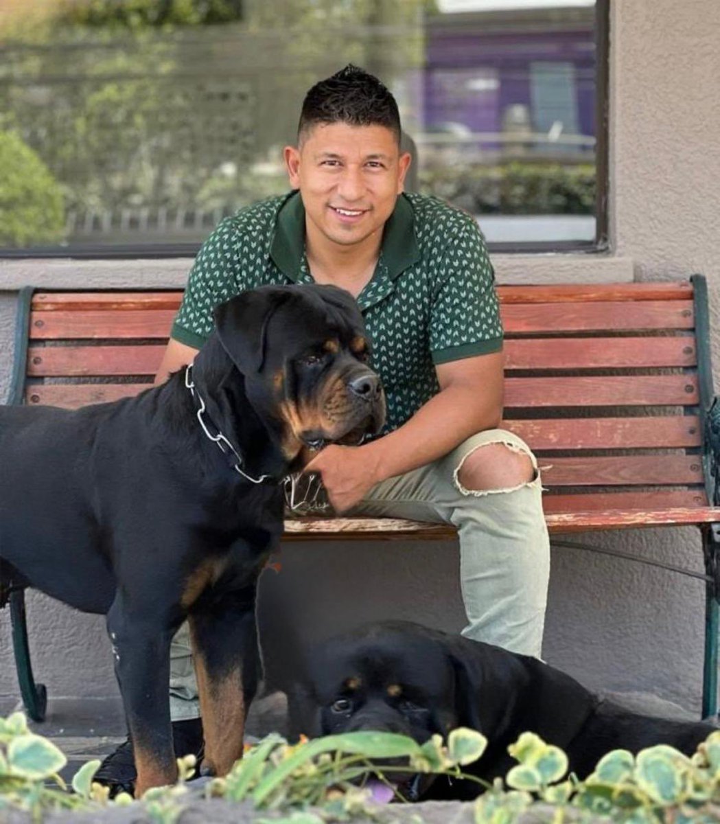 willindiaz's tweet photo. Cachorros en Ecuador 
#LoveIslandAllStars #willinmascotas https://t.co/4GiFReqB1I