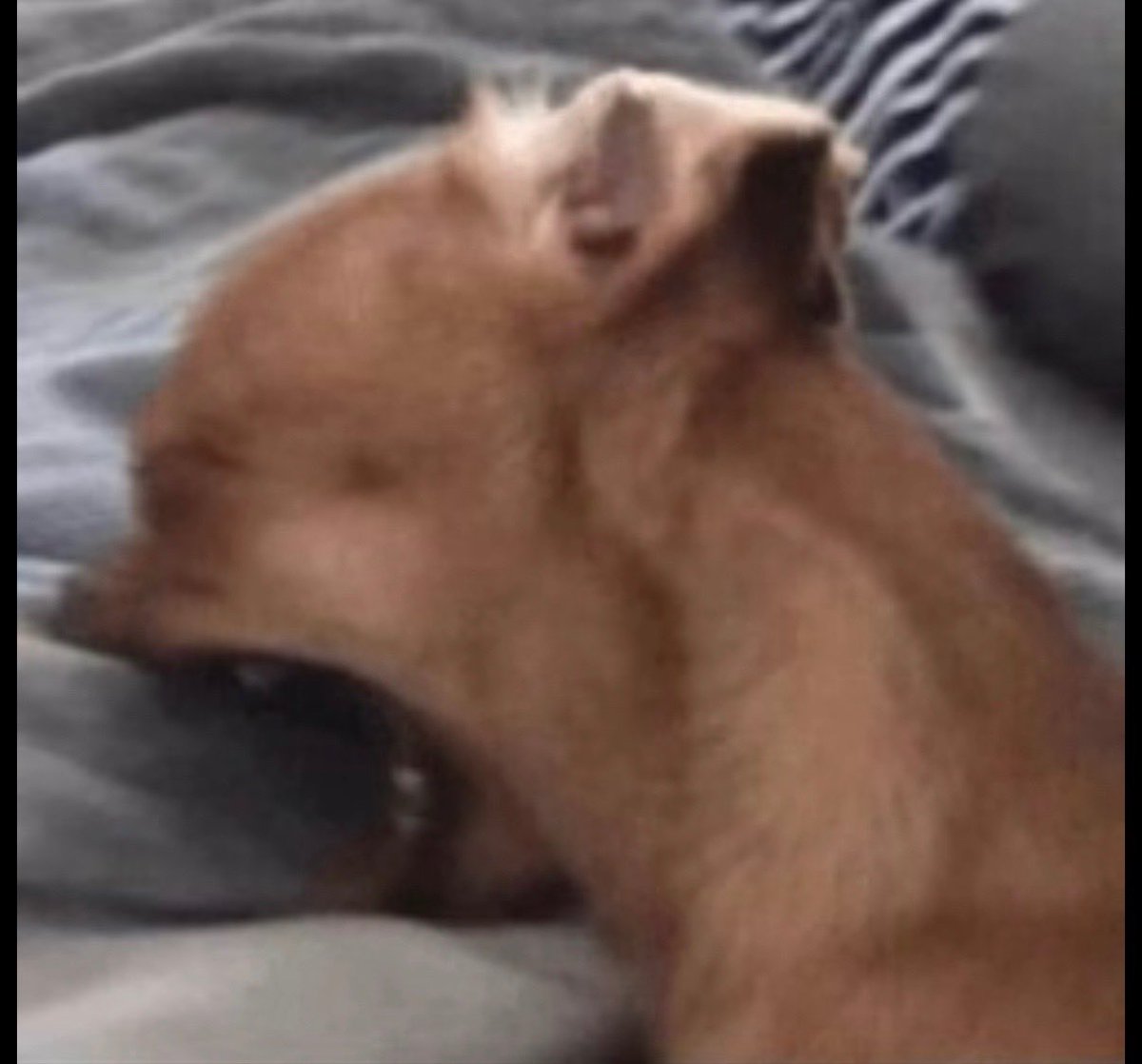 My sister said Omega’s theme song sound like Days in the Sun from the live action Beauty and the Beast