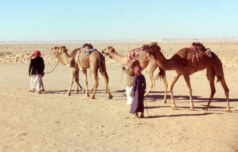 xc75vo's tweet photo. "أُوصيكم بأهلِ الباديةِ خيرًا
فإنَّهُم أصلُ العربِ ومادَّةُ الإسلام"

- من وصايا أميرِ المؤمنينَ عُمرَ بنِ الخطَّابِ
رضيَ اللهُ عنه قبل وفاته https://t.co/HyAtqEejKC