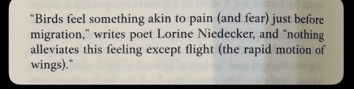 love drops tweet media