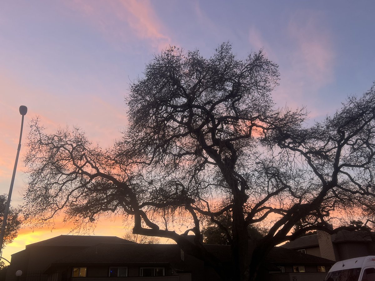 smilesmeanalot's tweet image. Hello. I send smiles and thank you. For letting me join your amazing page. You’re truly a beautiful amazing person. Here are some sunshine photos for you @OrahOnX . #smiles  #positivity