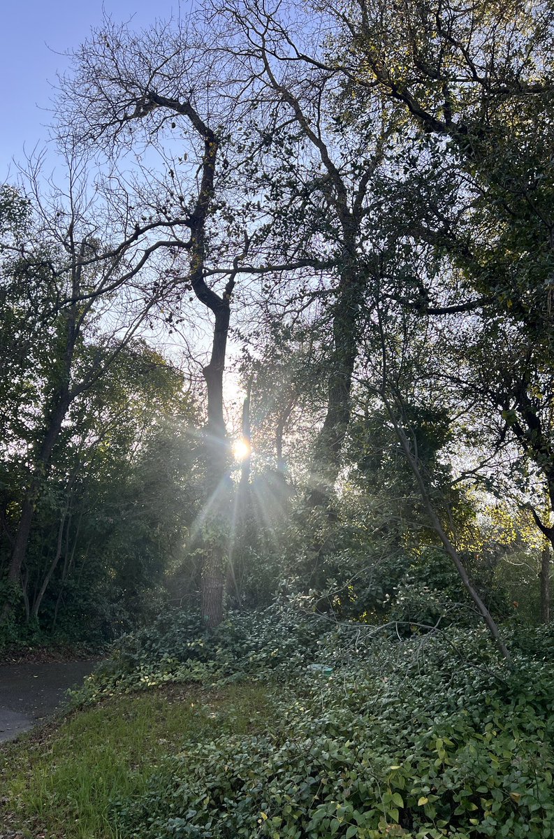 smilesmeanalot's tweet image. Hello. I send smiles and thank you. For letting me join your amazing page. You’re truly a beautiful amazing person. Here are some sunshine photos for you @OrahOnX . #smiles  #positivity