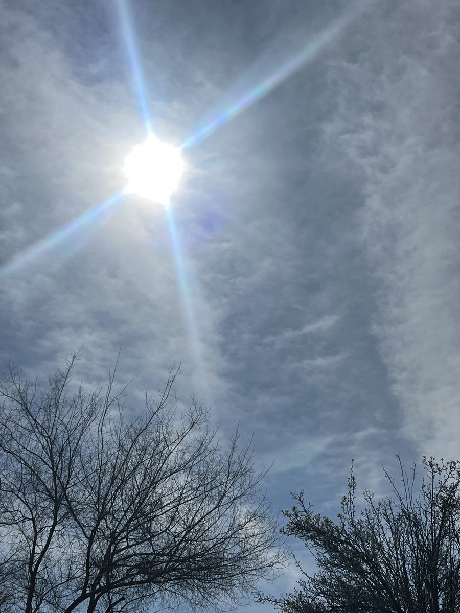 smilesmeanalot's tweet image. Hello. I send smiles and thank you. For letting me join your amazing page. You’re truly a beautiful amazing person. Here are some sunshine photos for you @OrahOnX . #smiles  #positivity