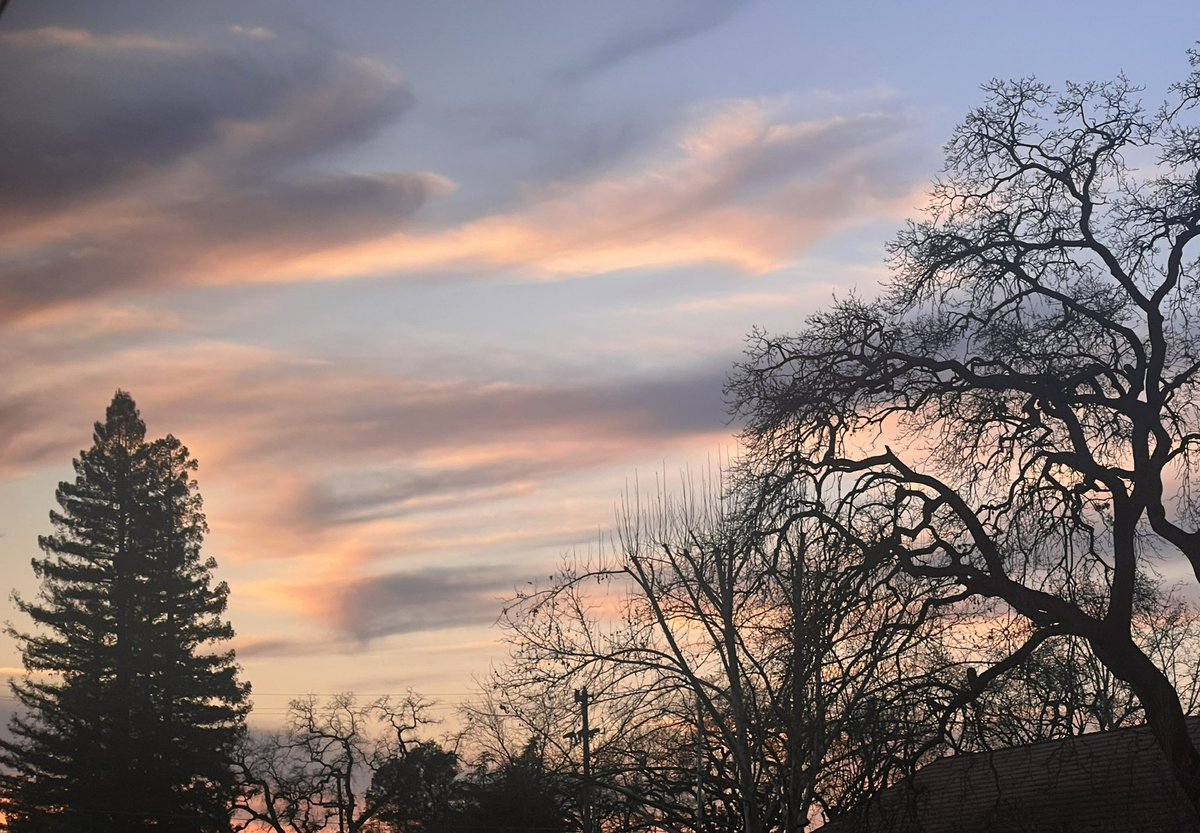 smilesmeanalot's tweet image. Hello. I send smiles and thank you. For letting me join your amazing page. You’re truly a beautiful amazing person. Here are some sunshine photos for you @OrahOnX . #smiles  #positivity