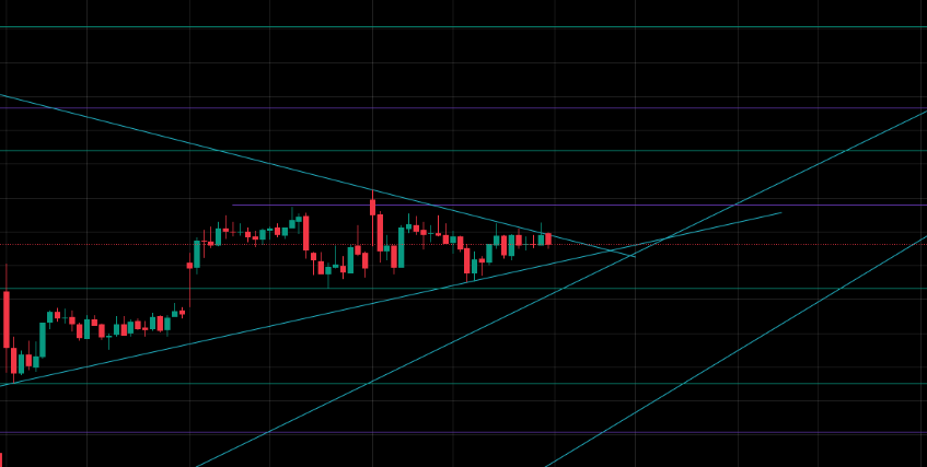 Aaj ye decide ho jaega ki ise upar jaan hai ya niche 🤨🤨 #Nifty50 #sensex #niftyOptions #optionbuying