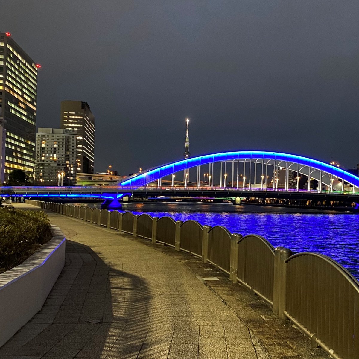 集まれ！隅田川 tweet media