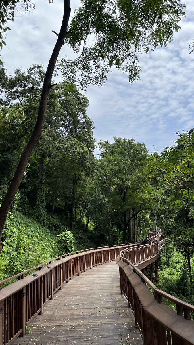 InfraStory tweet media