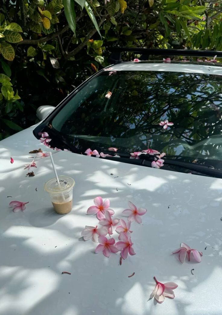 यूं ही कट जाएगा सफर