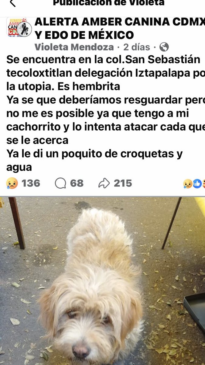 ATENCIÓN IZTAPALAPA ‼️ Está linda perrita fue vista x la Utopía pero no resguardada, se ve de casa pues está muy limpia, ojalá se entere su familia o alguien de esa zona la resguarde 🙏