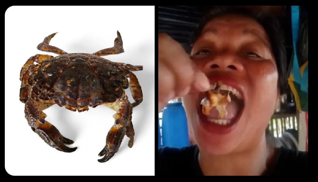 sarcasm1974's tweet image. 🚨SHOCKING: A food vlogger tragically dies after chowing down on a deadly "devil crab" for her channel! 

😱 This beast's muscles pack TWO of the world's deadliest toxins—fatal in HOURS. Is extreme content worth the risk ? 🤔 
#FoodReview #blogging