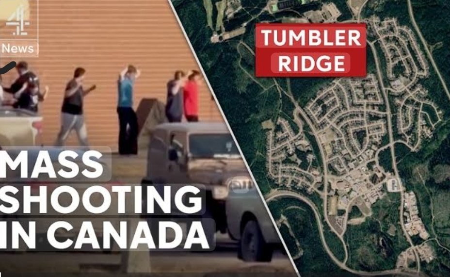 Alaa Elsayed tweet media