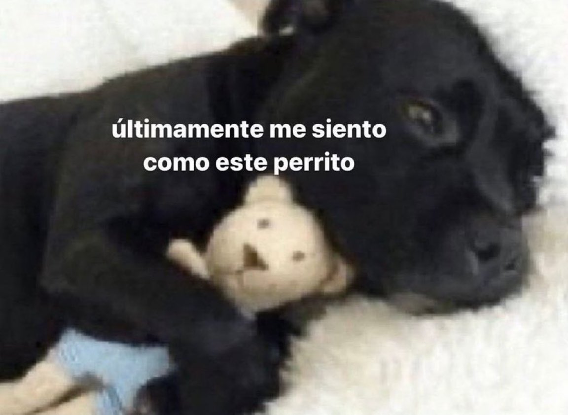 Salvador Iglesias Jr (@javisness) on Twitter photo 