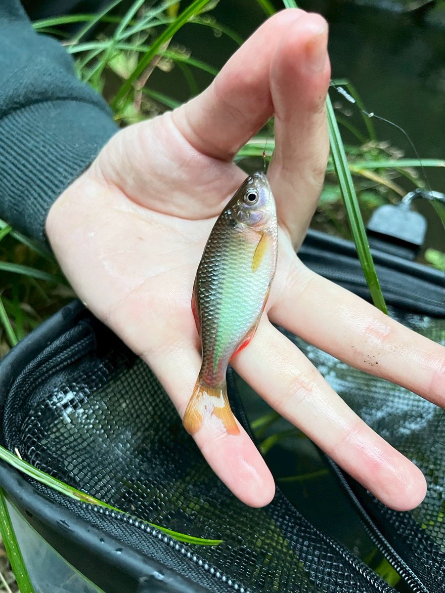 【祝・合格🌸】東京農業大学に合格された皆さん、おめでとうございます！🎊

野生動物研究会(やどけん）は、生き物好きが集まるサークルです！
鳥類・両爬・魚類・昆虫・ウミウシなど、各々の好きな生き物を追いかけています🐾

#春から農大
#春から東農大
#春から東京農業大学
#農大
#春からtua