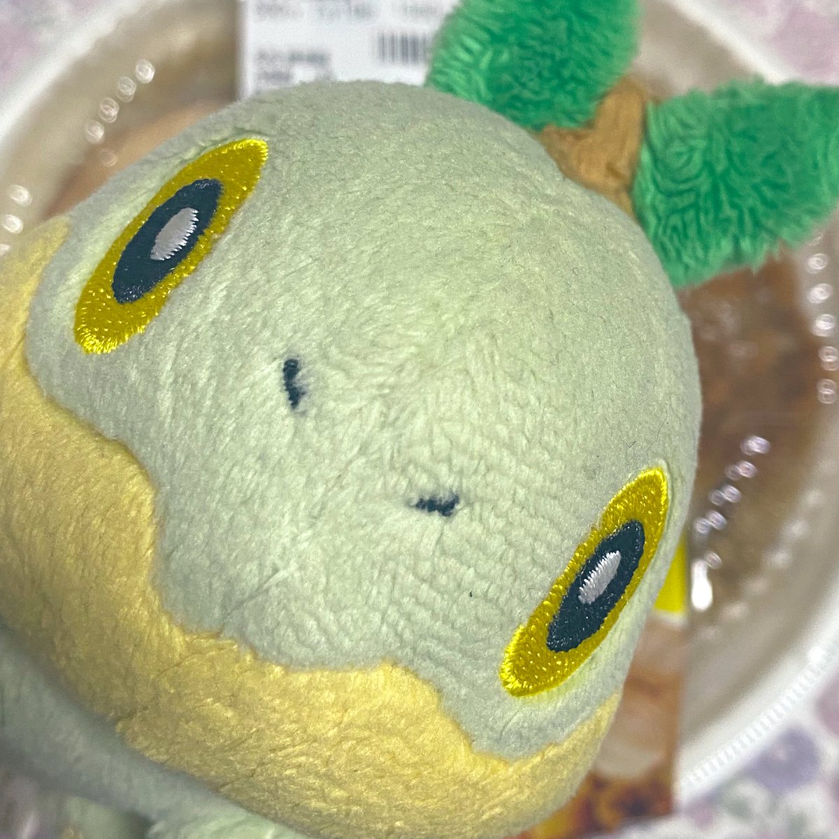 ちっちゃいナエトル tweet media