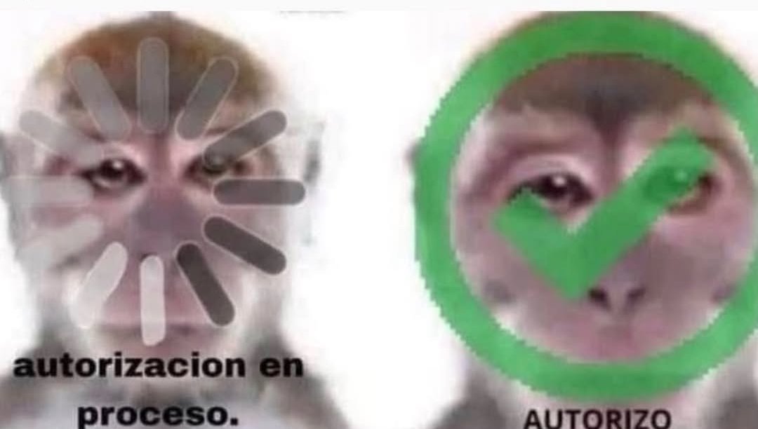 augustmillisent's tweet photo. Yo pensando en comprar ese libro que me asegurará la bancarrota por los próximos 6 meses https://t.co/JVSxAGK0FI